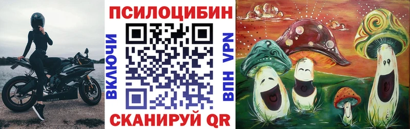 Галлюциногенные грибы прущие грибы  купить наркотик  Невельск 